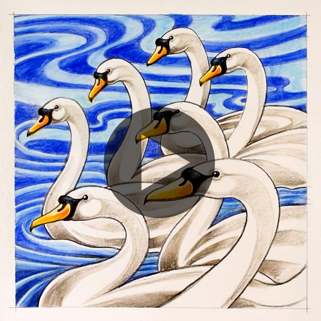 Seven Swans A Swimming Instagram post