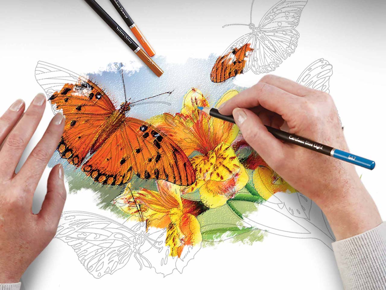 Castle Arts colouring books